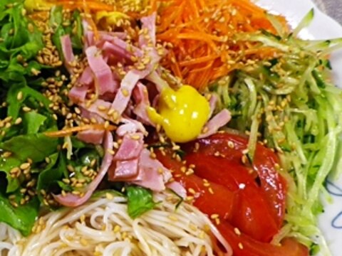 サラダ冷やし中華素麺